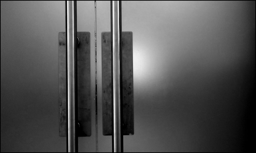 steel handles on a modern pair of doors